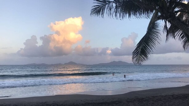 Een strand met golven, een palmboom en bergen in de verte.