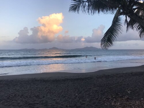 LA BELLE CREOLE
