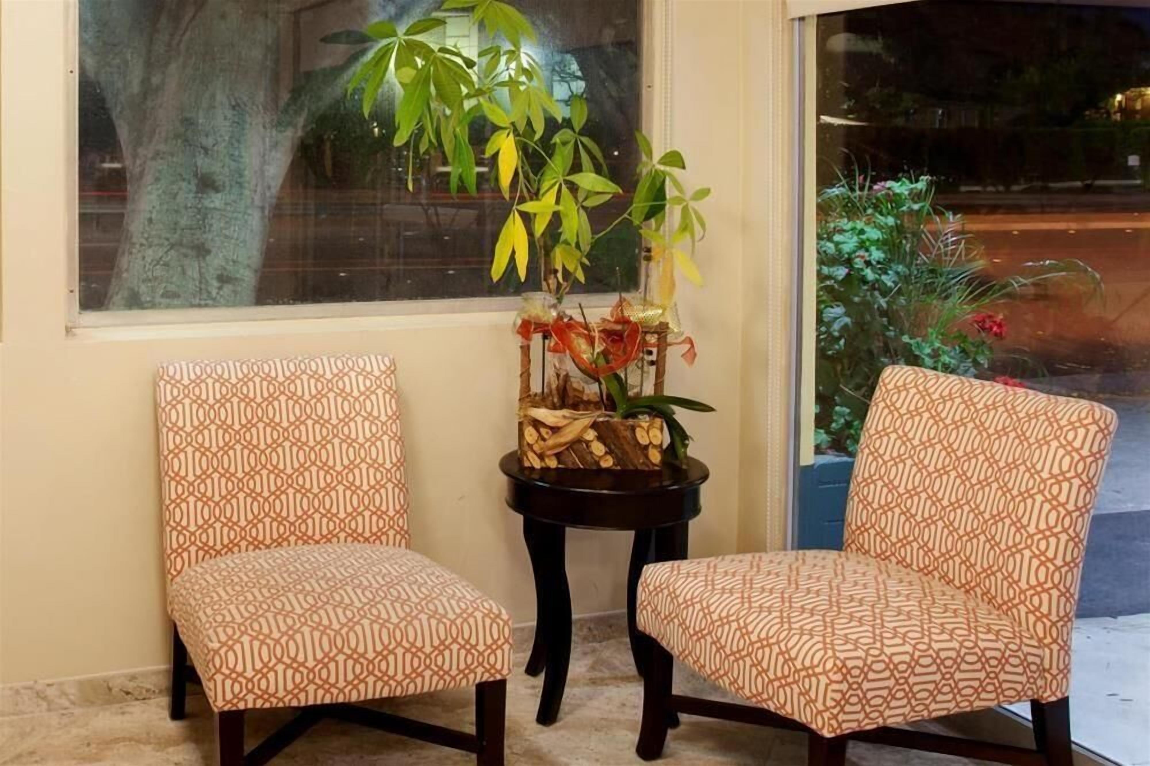 Two patterned chairs with a small table between them, a potted plant, and a window with a view of the street.