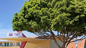 A Knights Inn with a large tree in front, a yellow building, and a clear blue sky. - Astro Pasadena Hotel (Pasadena)