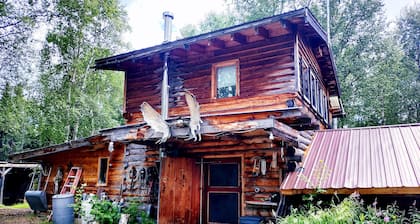 Serene Wilderness, Fly-in, Guest Cabins at Gold King Lodge, WiFi, Sauna & More