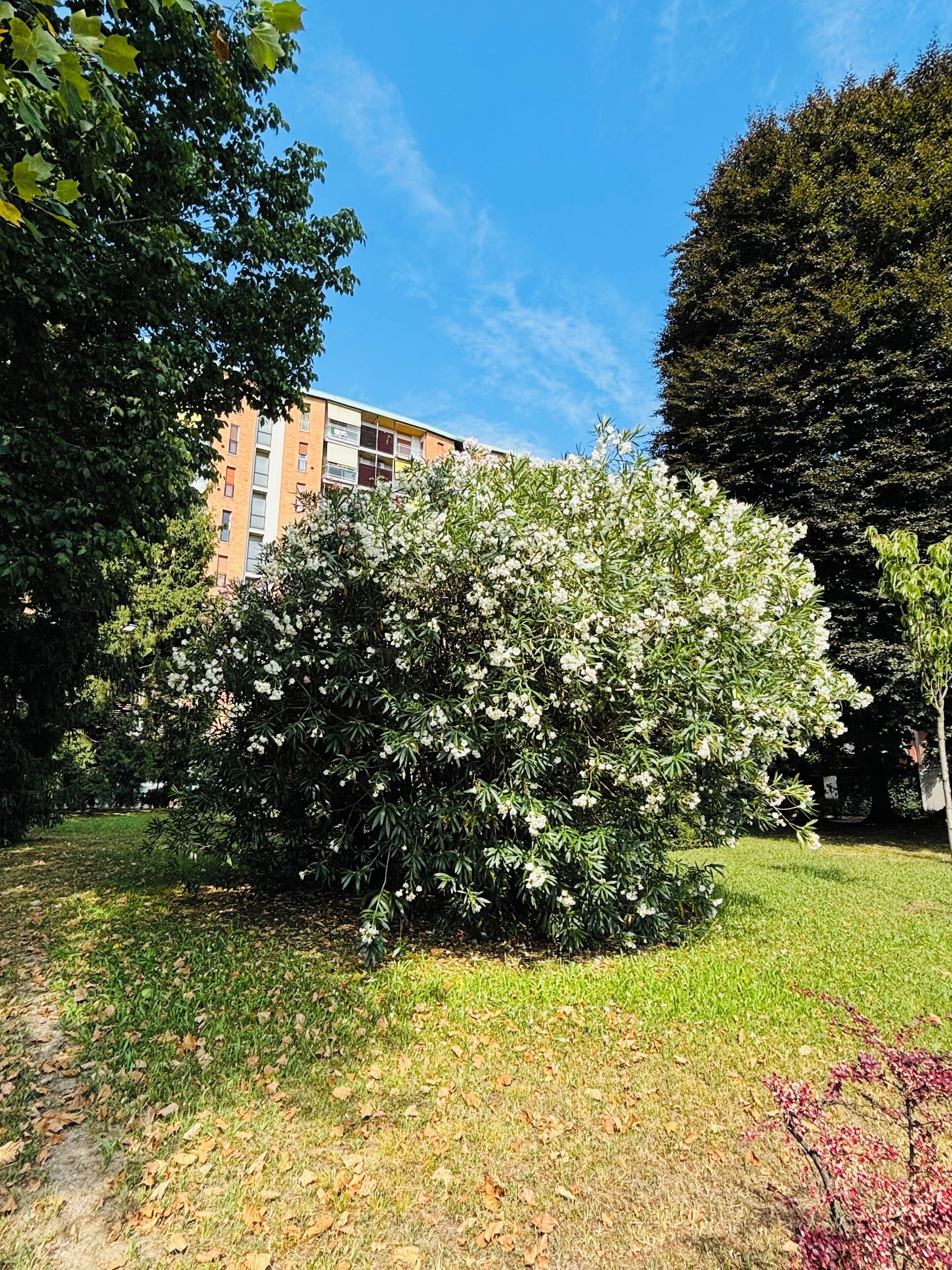 A building with multiple floors, surrounded by well-maintained greenery and trees.