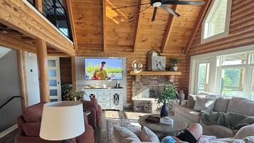 TV connectée, cheminée, livres, médiathÚque