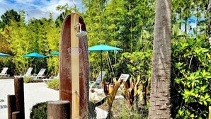 Un resort tropical con zona de piscina, postes de madera y abundante vegetación.