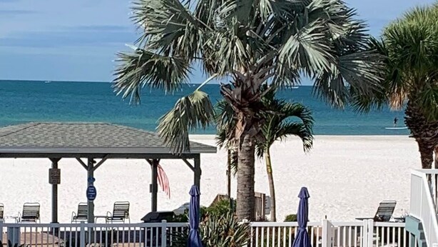 A pool area with lounge chairs and umbrellas, a palm tree, and a beach view.