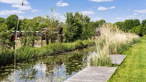 Un sentier paisible le long de la rivière, agrémenté d’une promenade en bois, bordé d’une végétation luxuriante et surplombant un plan d’eau calme parsemé de nénuphars.