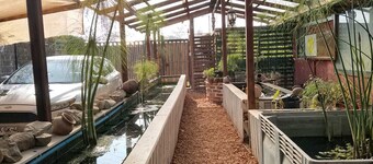 Casa Niwa Koi Entre Peces