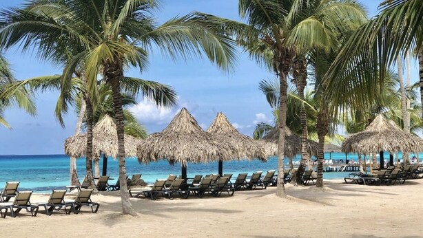A beach with palm trees, thatched umbrellas, and sun loungers.