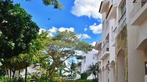 A courtyard with a paved walkway, surrounded by lush greenery and palm trees, leading to a white building with balconies and arched windows.