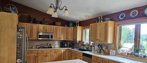 Microwave, oven, stovetop, dishwasher