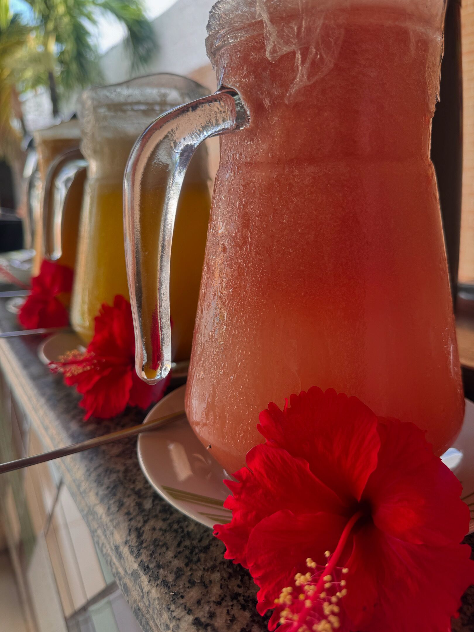 Foto - Pousada Maruá - Sabiaguaba