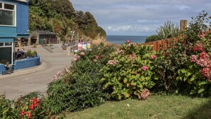 A coastal building with a blue exterior, a paved pathway leading to the sea, and lush greenery. - Zide the Zea (Ilfracombe)