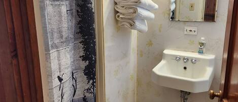 A bathroom with a shower, a sink, and a mirror.