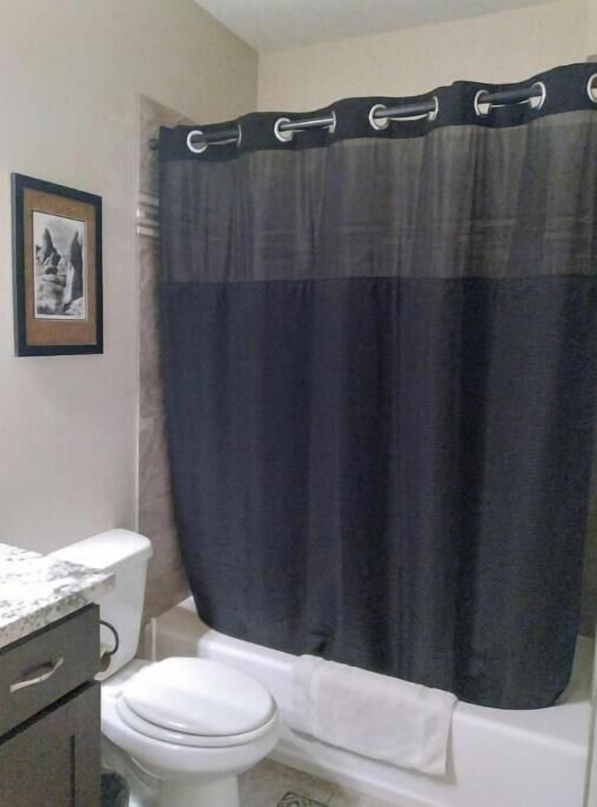 Secadora de cabello, toallas, shampoo, papel de baño 