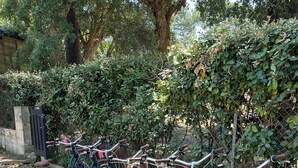 A row of bicycles parked in a grassy area with a fence and trees in the background. - Villa Sunset 500 meters Ocean (Seignosse)