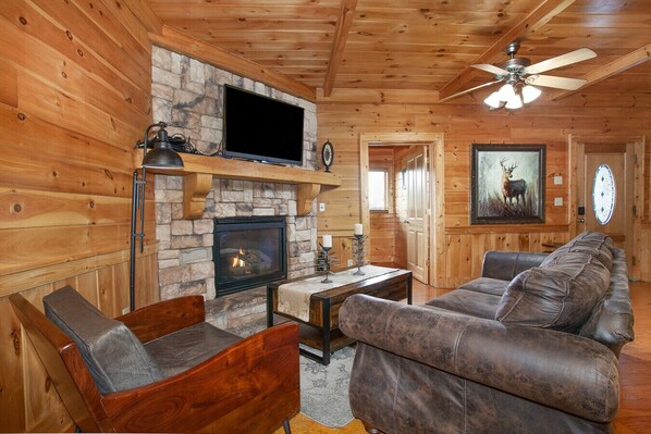 TV, fireplace, video games, DVD player