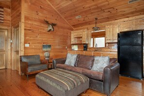 TV, fireplace, video games, DVD player