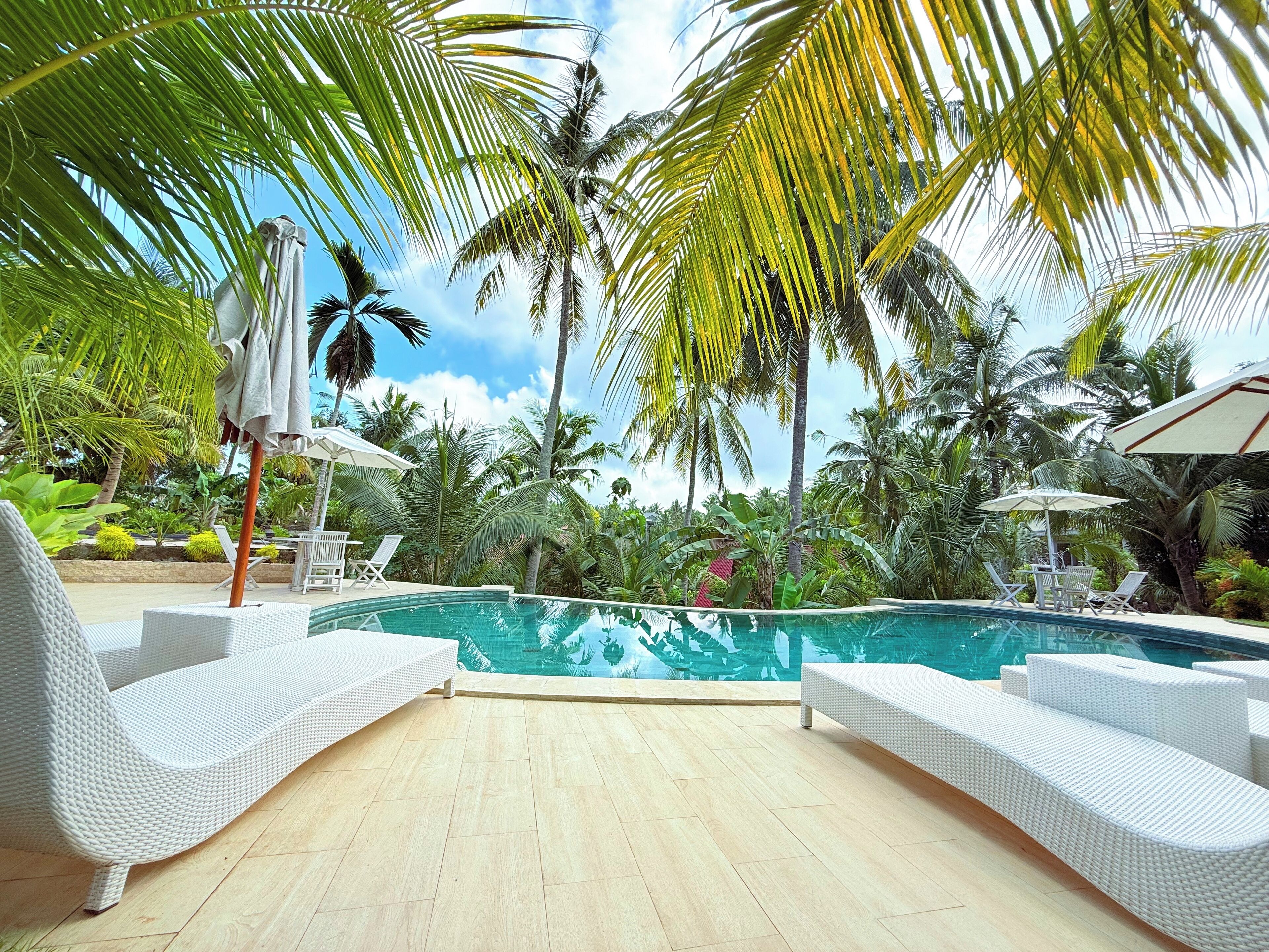 Zona de piscina con sillones blancos y sombrillas, rodeada de palmeras y plantas tropicales.