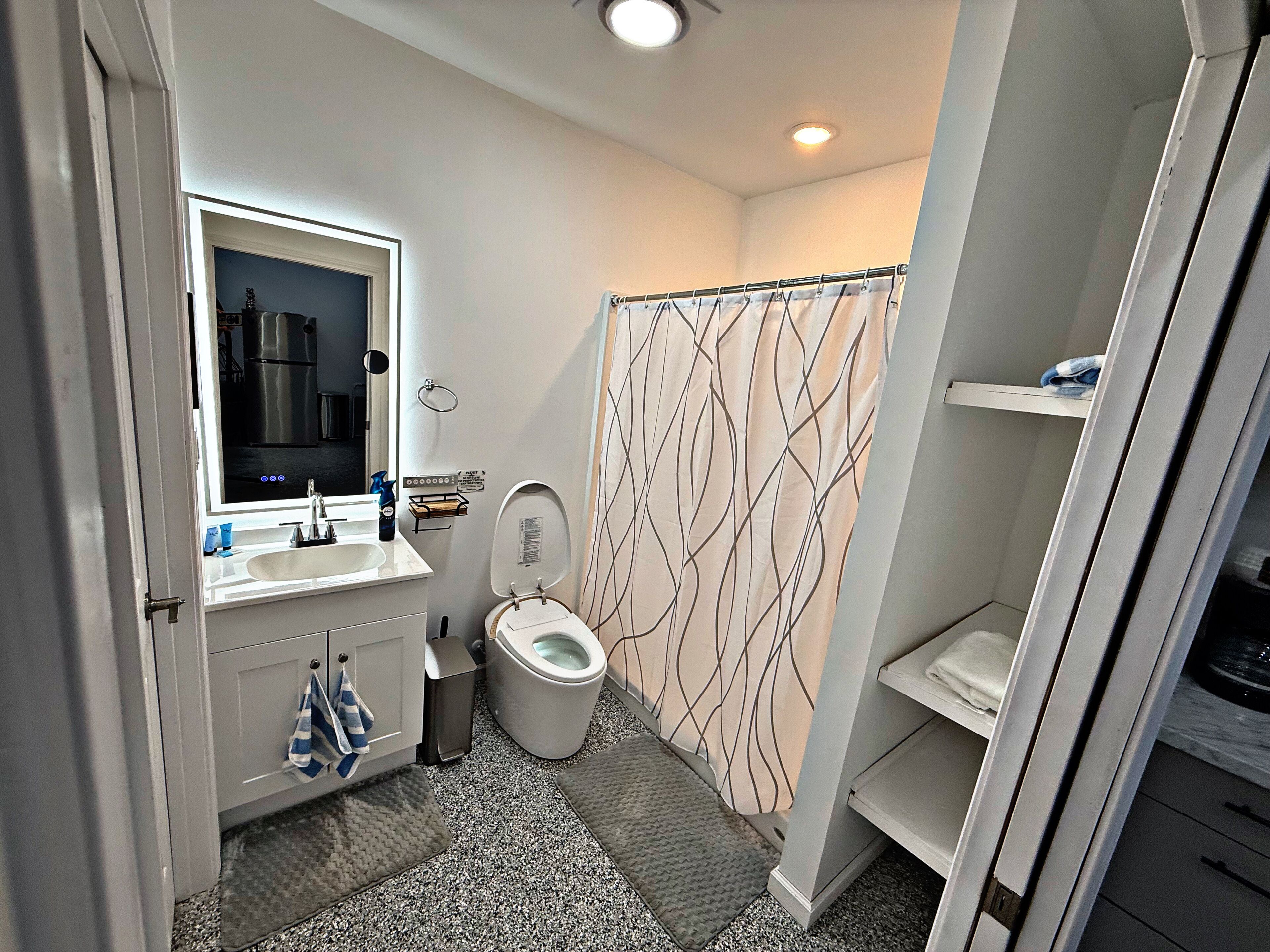 Shower, hair dryer, bidet, towels