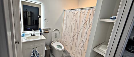 Shower, hair dryer, bidet, towels