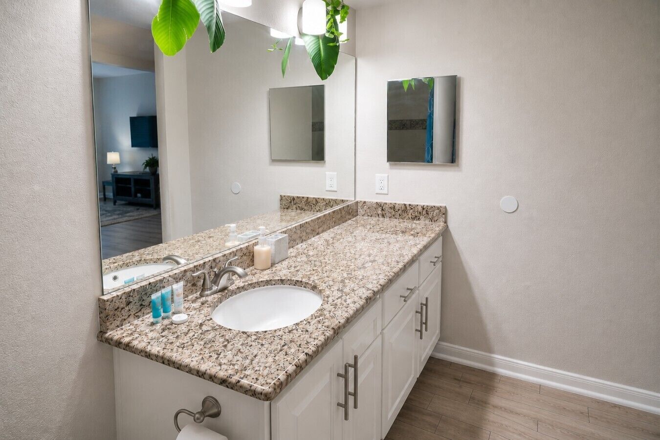 A bathroom with a granite countertop, a sink, a mirror, and a potted plant.