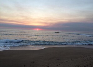 Vista desde la propiedad