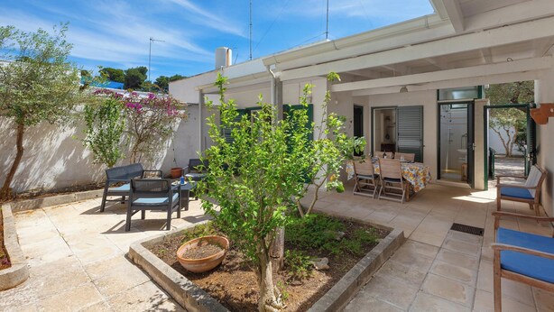 Eine überdachte Terrasse im Freien mit Tisch und Stühlen, umgeben von Blumentöpfen und einem kleinen Baum.