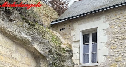 Michelangelo at our 'Clos Lussault' near Amboise in the Loire Valley