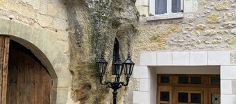 Michelangelo at our 'Clos Lussault' near Amboise in the Loire Valley