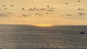 A sunset over a calm sea with birds flying in the sky. - Garza Blanca, 2 Bdr Panoramic View Hotel Suite in Puerto Vallarta with kitchen. (Jal.)
