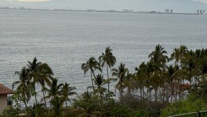 A coastal view with palm trees and a distant cityscape. - Garza Blanca, 2 Bdr Panoramic View Hotel Suite in Puerto Vallarta with kitchen. (Jal.)