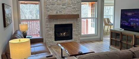 TV, fireplace, computer monitors