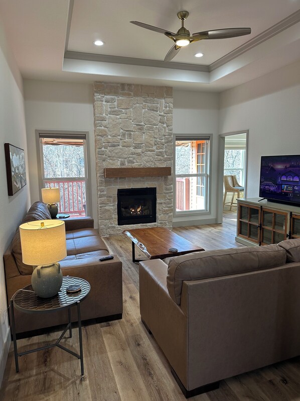 TV, fireplace, computer monitors