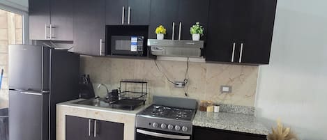 Kühlschrank, Mikrowelle, Ofen, Herdplatte
