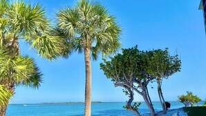 Una playa con palmeras y una vista despejada del océano.