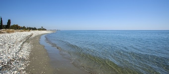 Larnaca Seaside Villa Marina 43