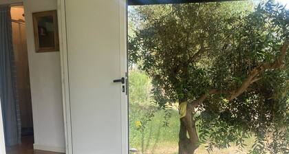 Detached mini house on horse farm in the middle of nature