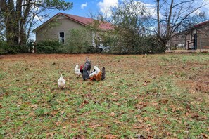 Overnattingsstedets uteområder