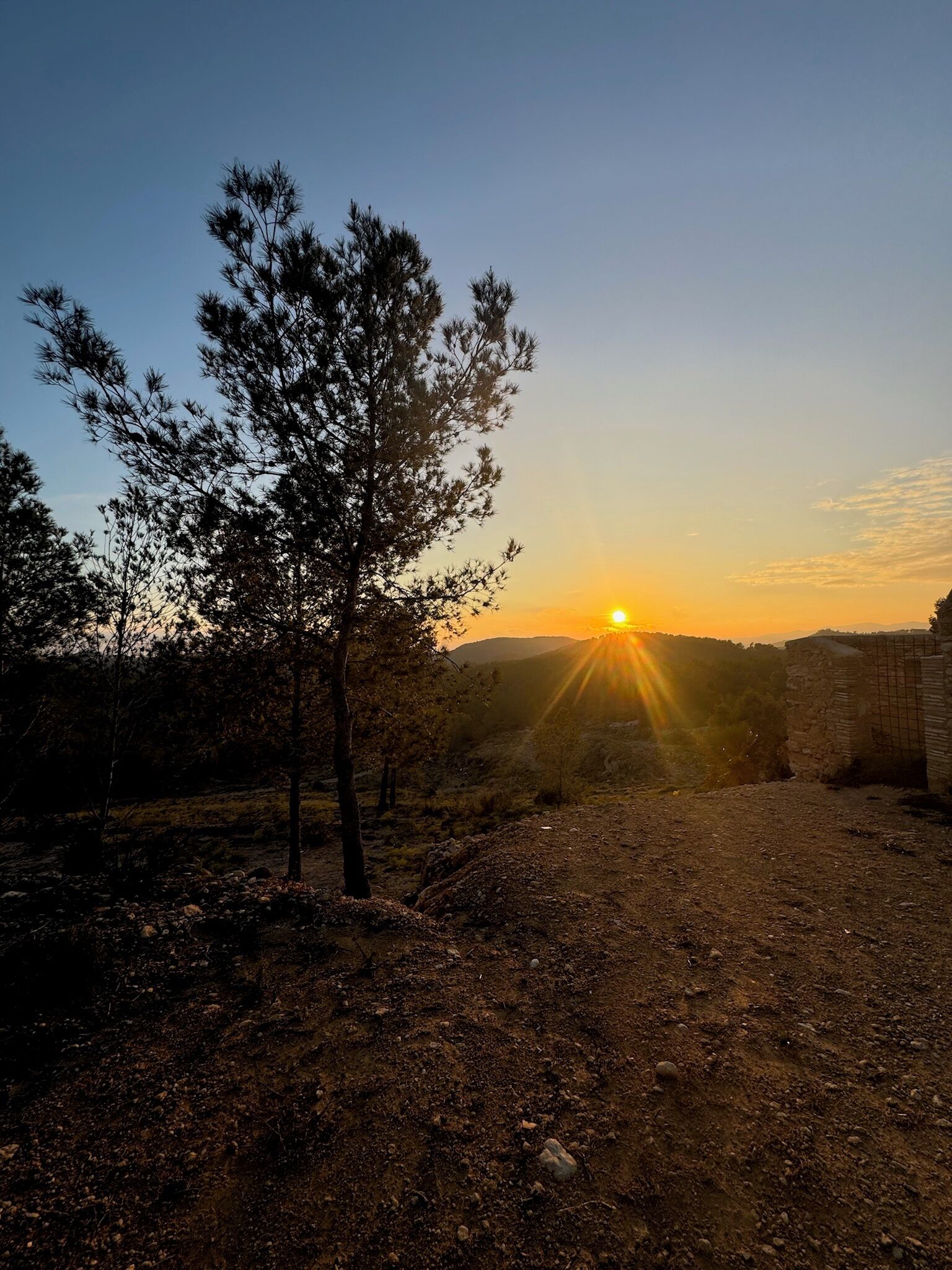 Atardecer sobre un terreno rocoso con escasos árboles y un edificio distante.