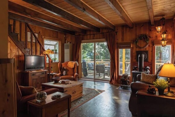 智能電視、壁爐、DVD 播放機、書籍