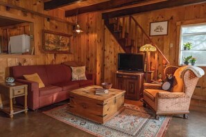 Smart TV, fireplace, DVD player, books