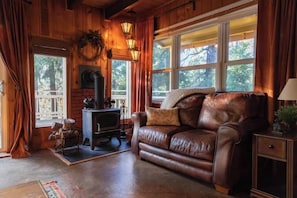 Smart TV, fireplace, DVD player, books
