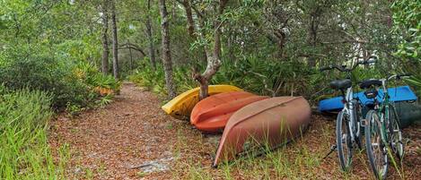 Un sendero en el bosque con kayaks y una bicicleta.