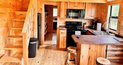 Basswood cabin, a Charming 3-bedroom cabin with AC, WiFi in marvelous Ely