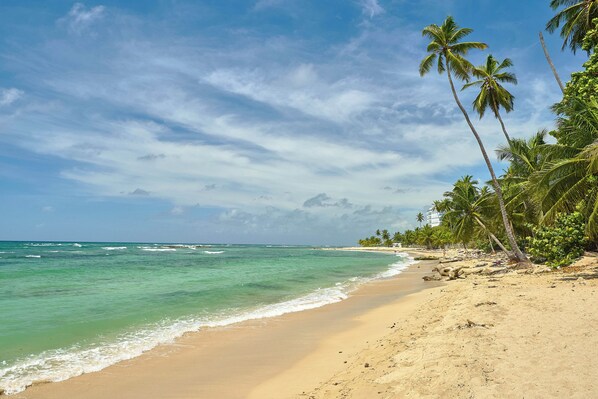 On the beach, sun-loungers, beach towels - Caribbean Coastal View Apartment (Playa Juan Dolio)
