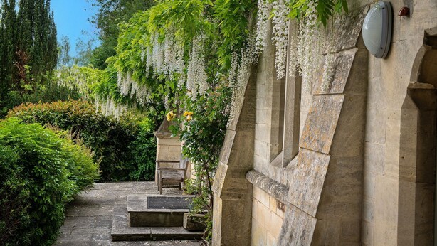 Un sendero de piedra lleva a un banco de madera, rodeado de exuberante follaje y enredaderas con flores blancas.