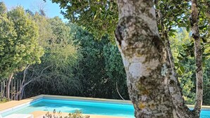 A wooden deck with a swimming pool, surrounded by dense greenery and trees. - Refugio Silvestre (Molina)