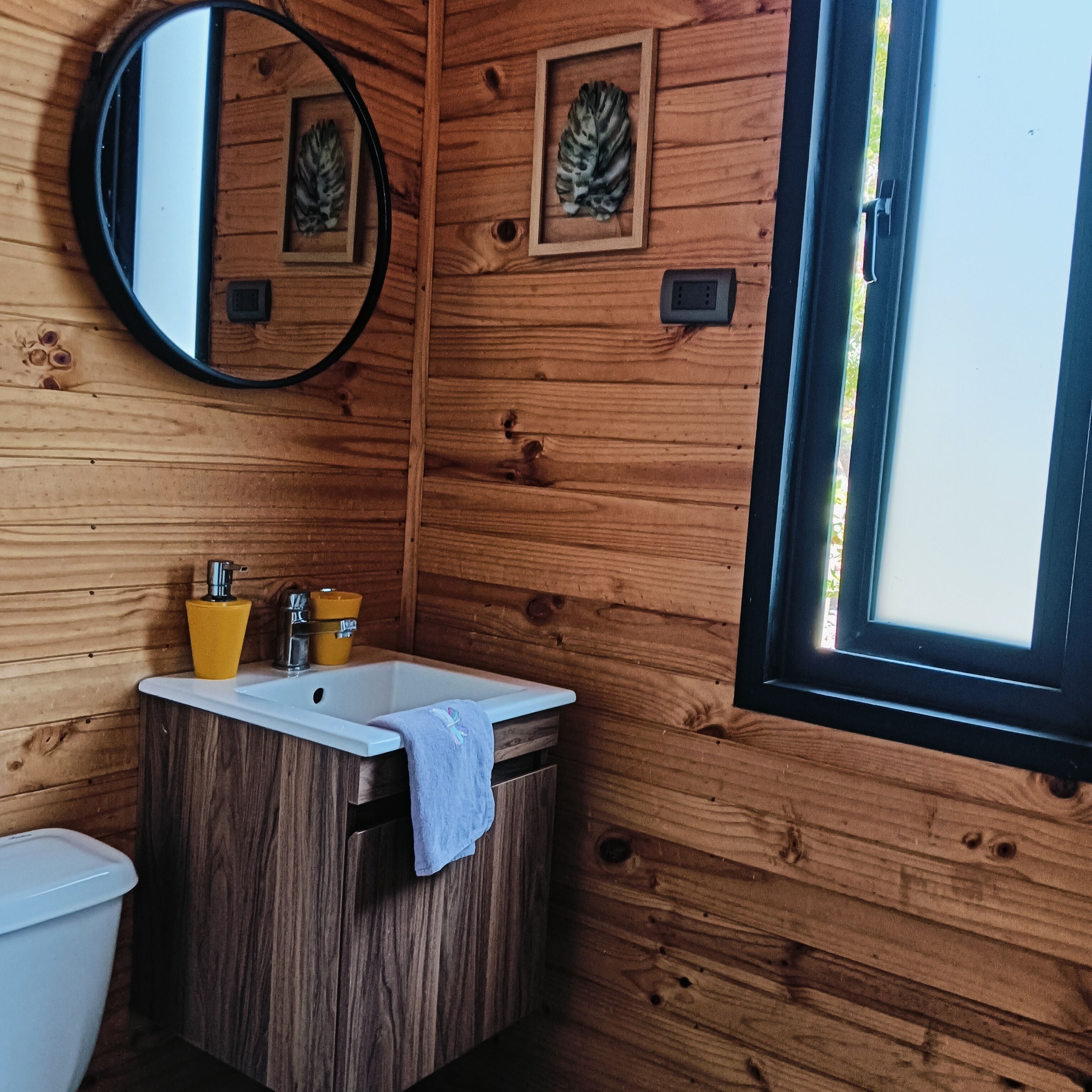A wooden cabin bathroom with a sink, mirror, and two framed leaves on the wall.