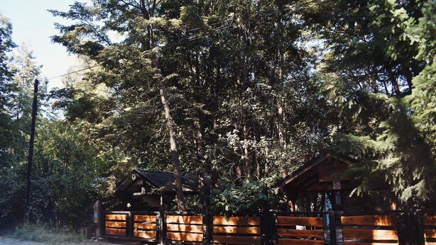 A rustic cabin with a wooden deck and a covered area, surrounded by dense forest.