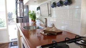 A kitchen with a stainless steel sink, a stove, and a potted plant. - Holiday Home in Noordwijkerhout by Forest & Lake (Noordwijkerhout)